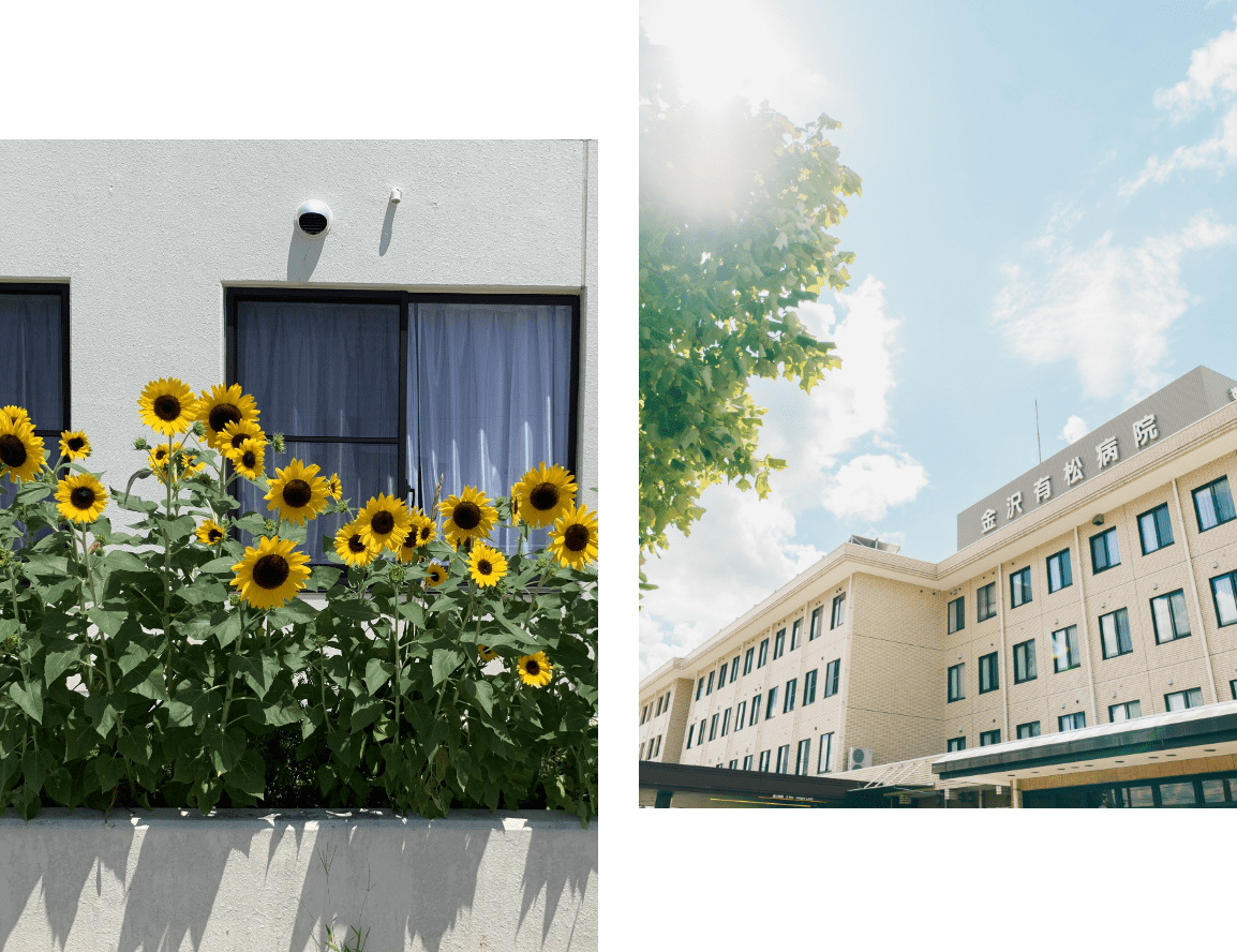 晴れの日の病院の外観と向日葵の画像
